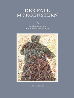 cover image of Der Fall Morgenstern